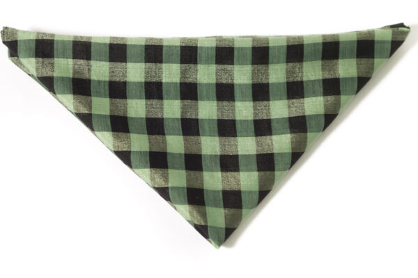 Anna silkehalstørklæde - grøn